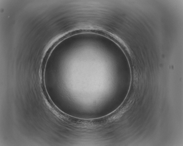 X0000083610935200702260924