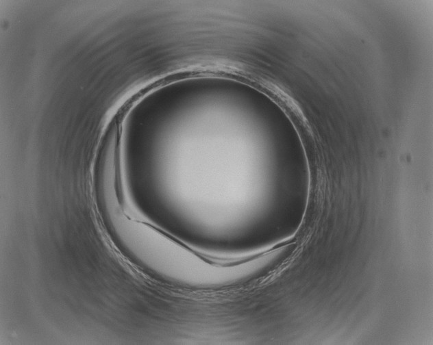 X0000083610936200702260924