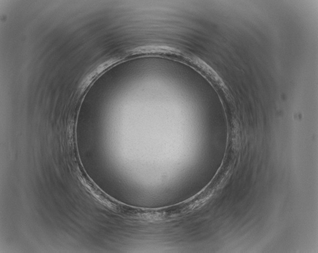 X0000083610937200702260924