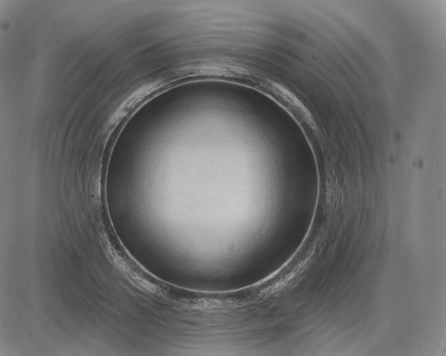 X0000083610938200702260924