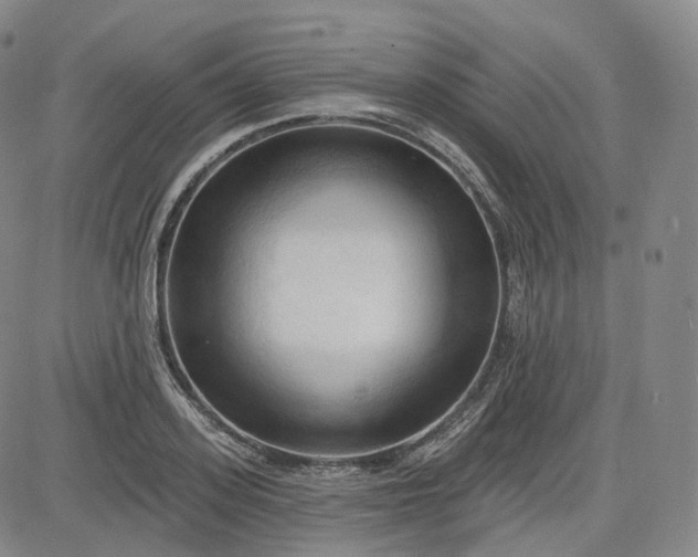 X0000083610939200702260924