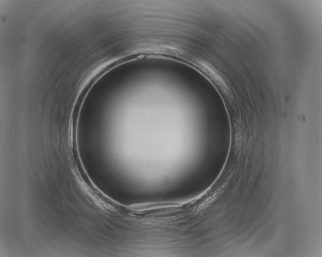 X0000083610940200702260924