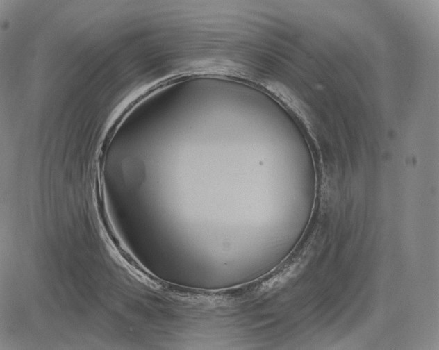 X0000083610941200702260924