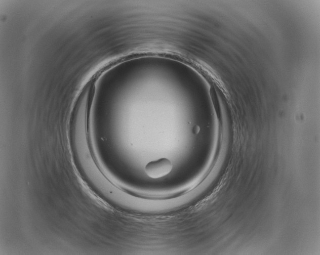 X0000083610942200702260924