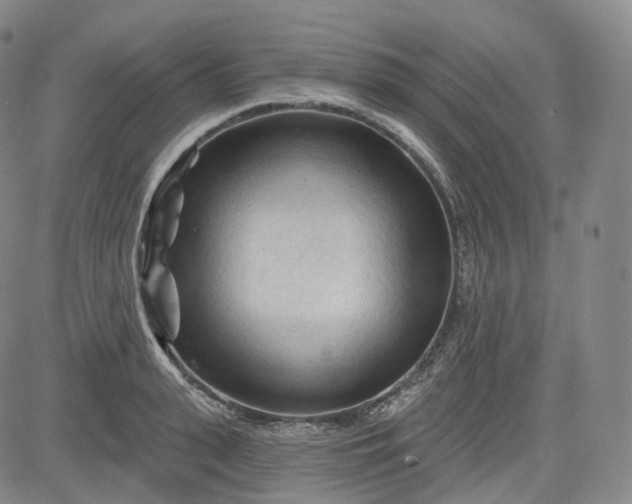 X0000083610943200702260924