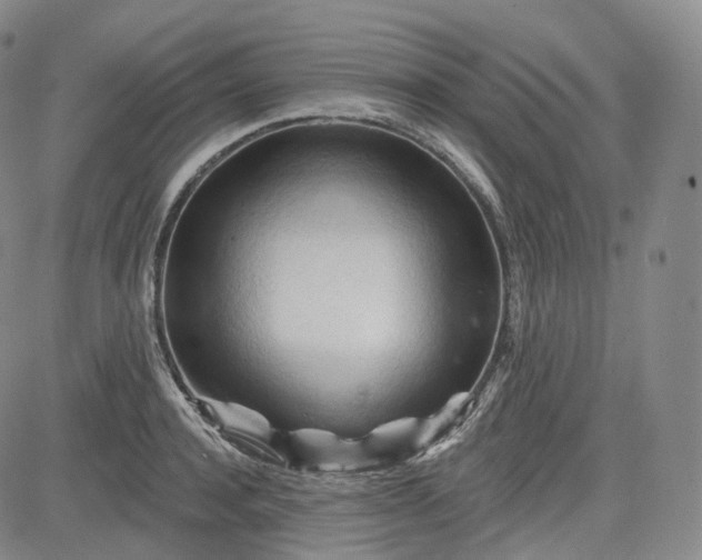 X0000083610944200702260924