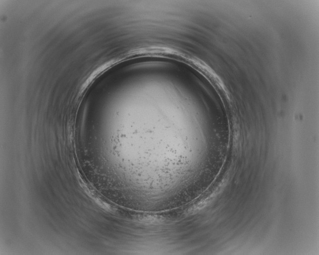 X0000083610945200702260924