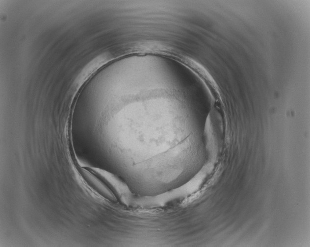 X0000083610946200702260924