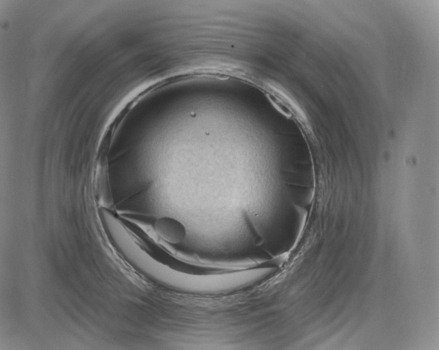 X0000083610948200702260924