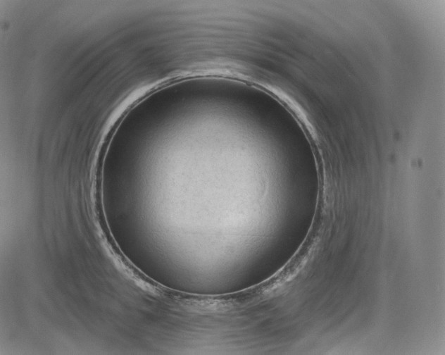 X0000083610949200702260924