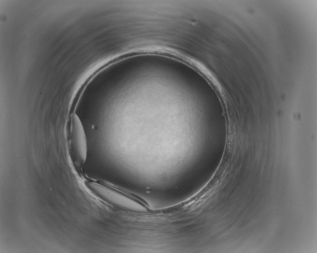 X0000083610951200702260924