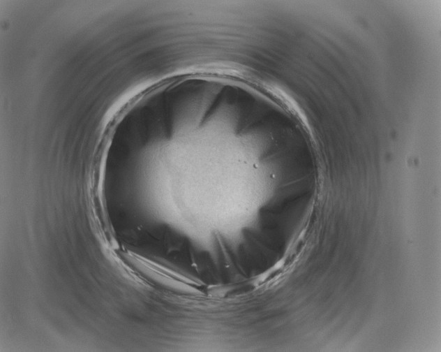 X0000083610952200702260924