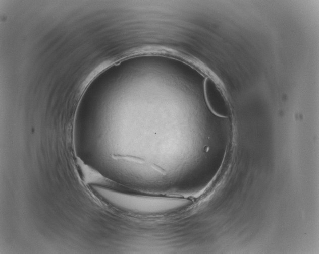 X0000083610953200702260924