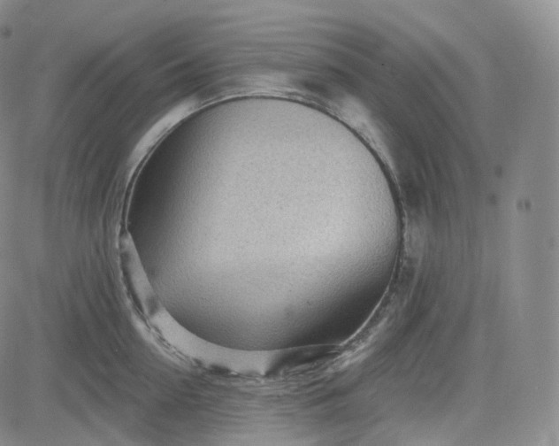 X0000083610954200702260924