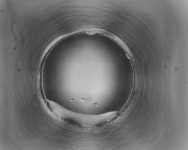 X0000083610955200702260924