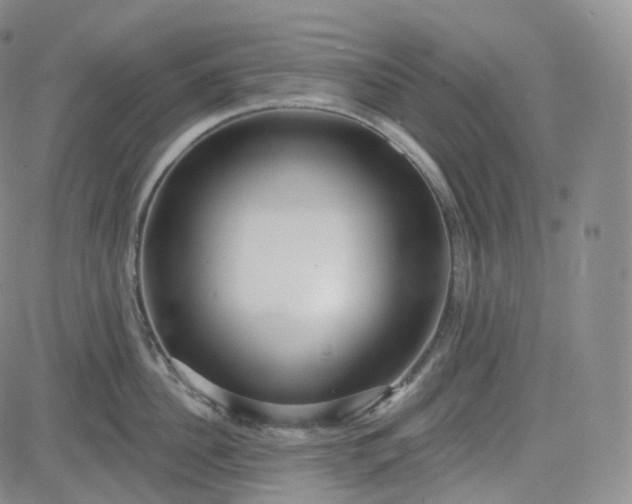 X0000083610956200702260924