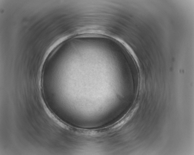 X0000083610957200702260924