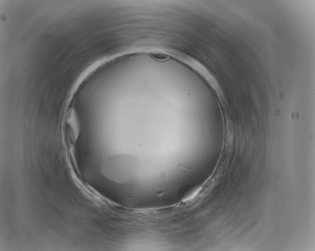 X0000083610958200702260924