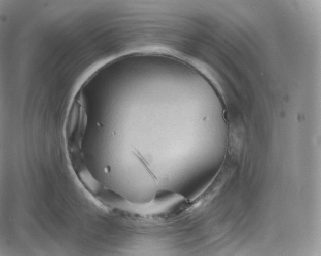 X0000083610959200702260924