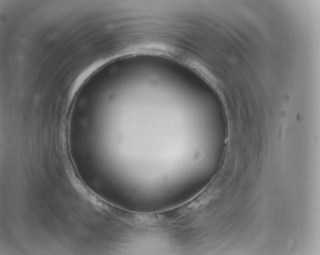 X0000083610960200702260924