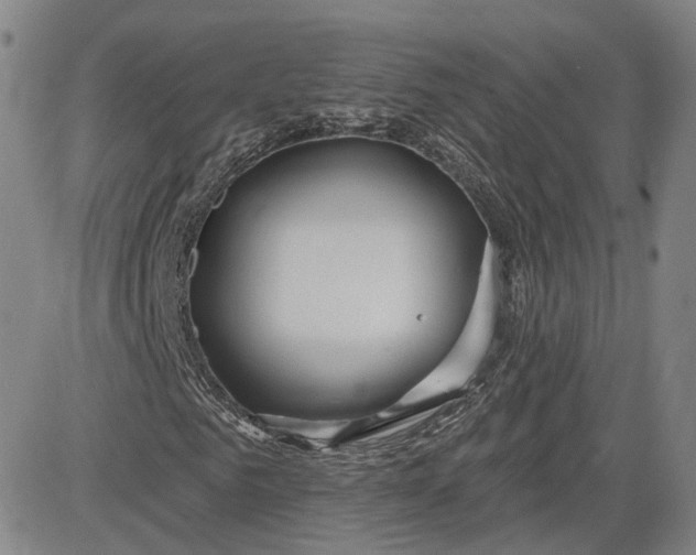 X0000083610961200702260924