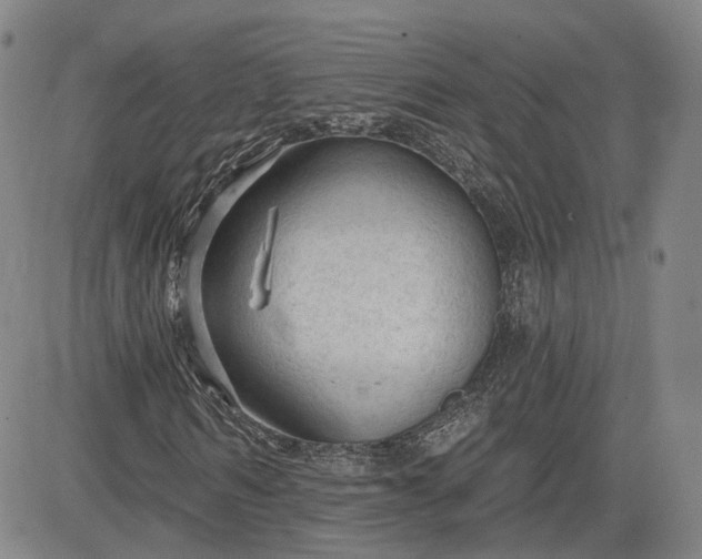 X0000083610962200702260924