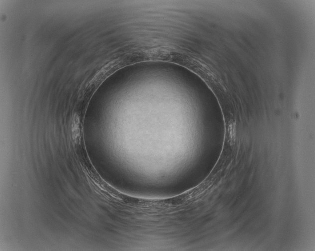 X0000083610963200702260924