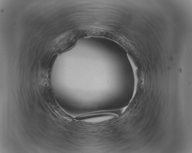 X0000083610964200702260924