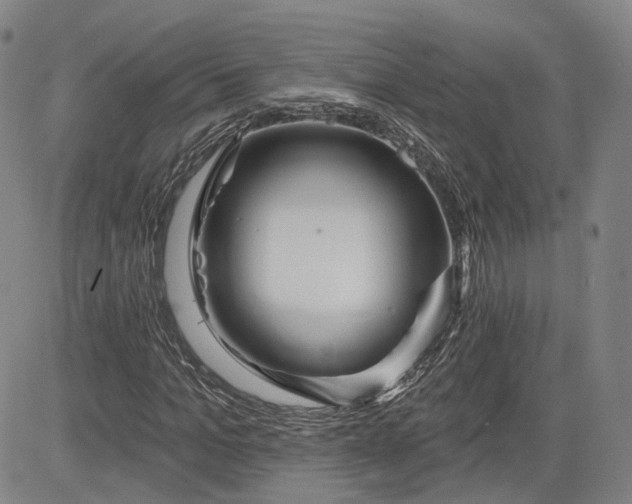 X0000083610965200702260924