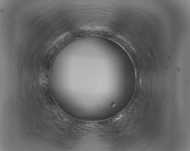 X0000083610966200702260924