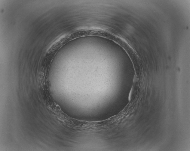 X0000083610967200702260924