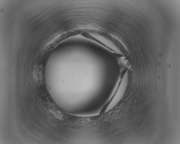 X0000083610968200702260924