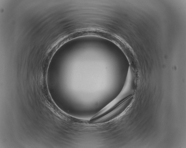 X0000083610969200702260924