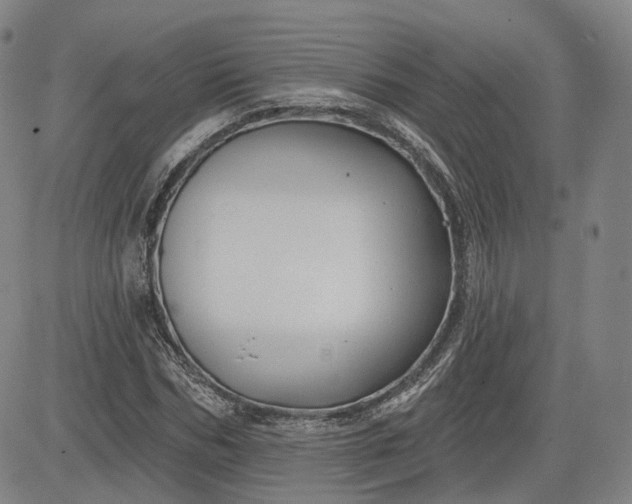 X0000083610970200702260923