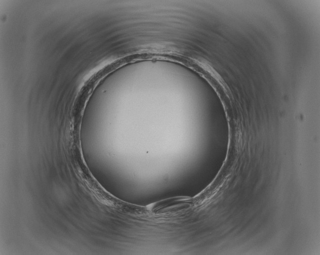 X0000083610971200702260923