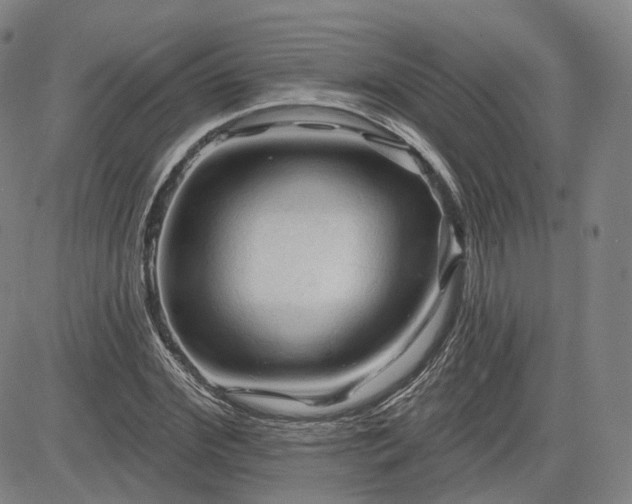 X0000083610972200702260923