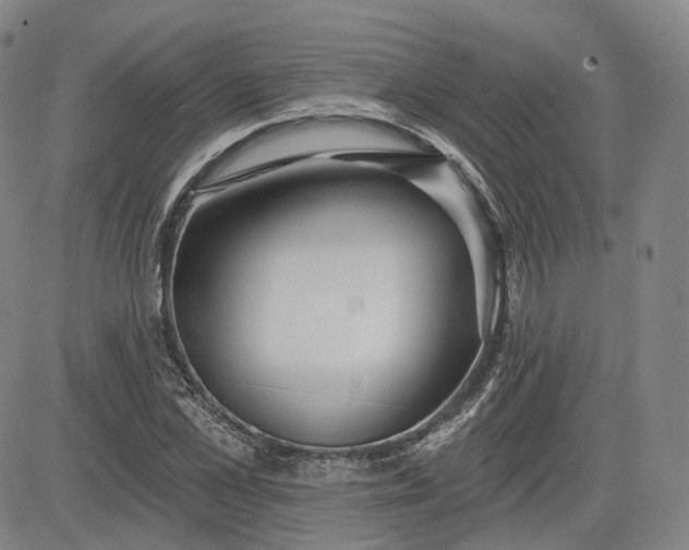 X0000083610973200702260923