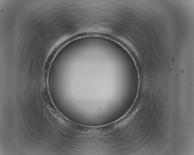 X0000083610974200702260923