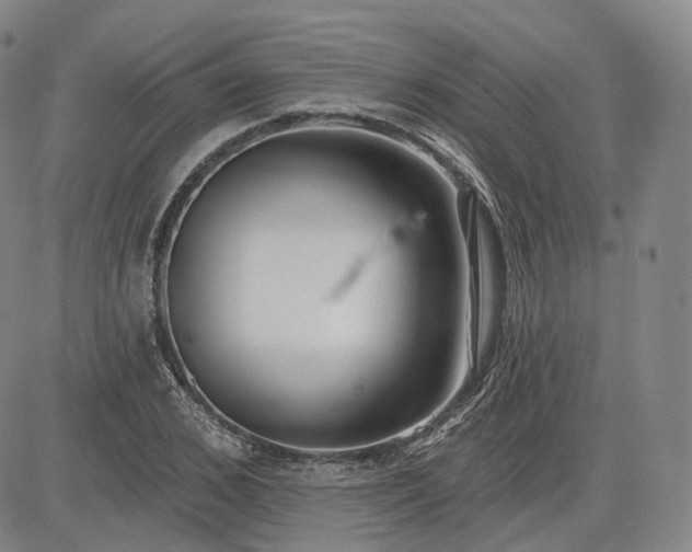 X0000083610976200702260923