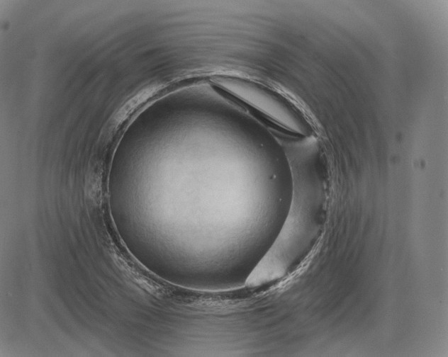 X0000083610977200702260923