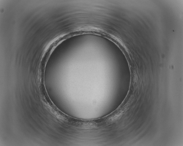 X0000083610979200702260923