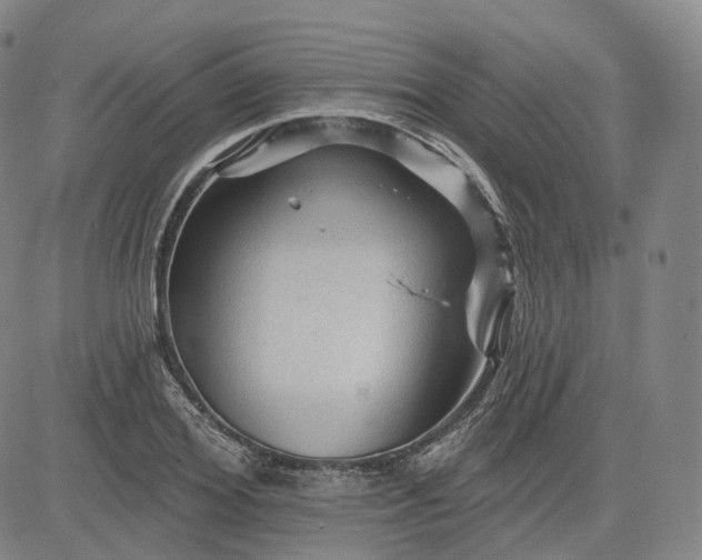 X0000083610980200702260923