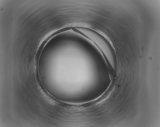 X0000083610981200702260923