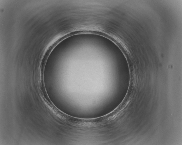 X0000083610982200702260923