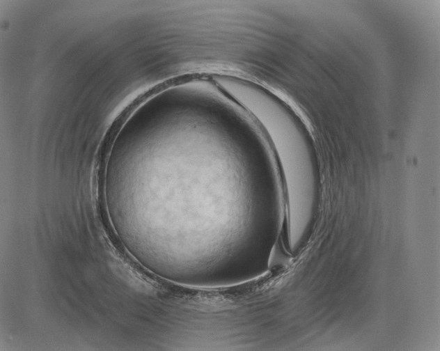 X0000083610983200702260923