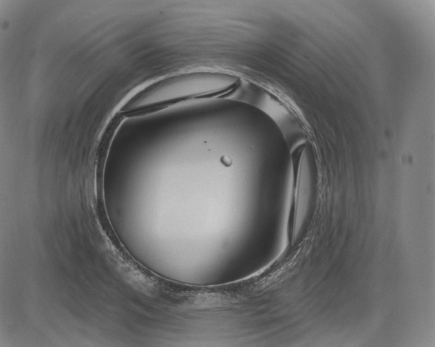 X0000083610984200702260923