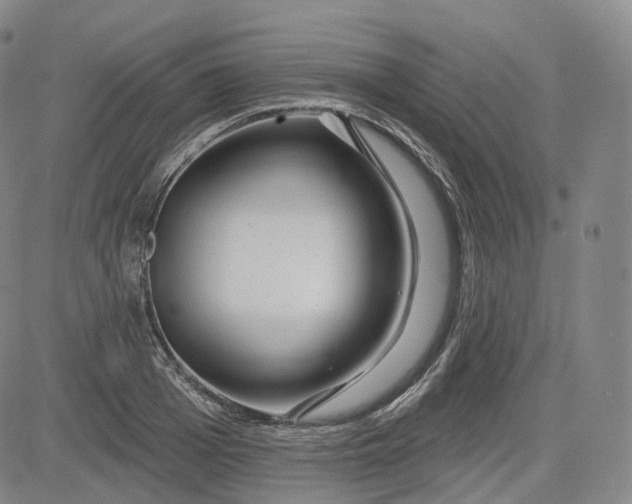 X0000083610985200702260923