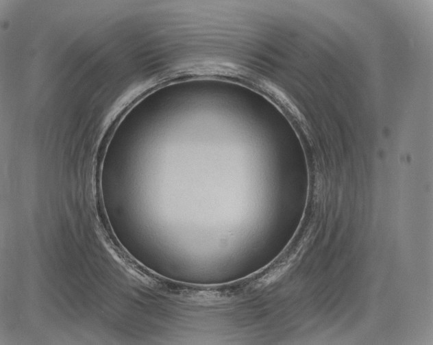 X0000083610986200702260923