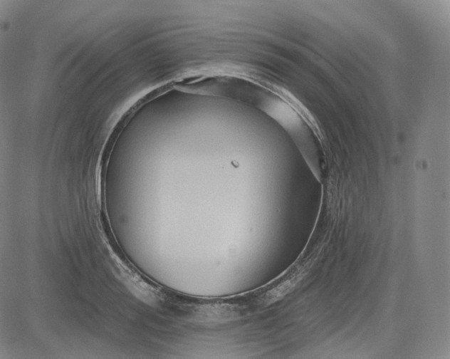 X0000083610988200702260923