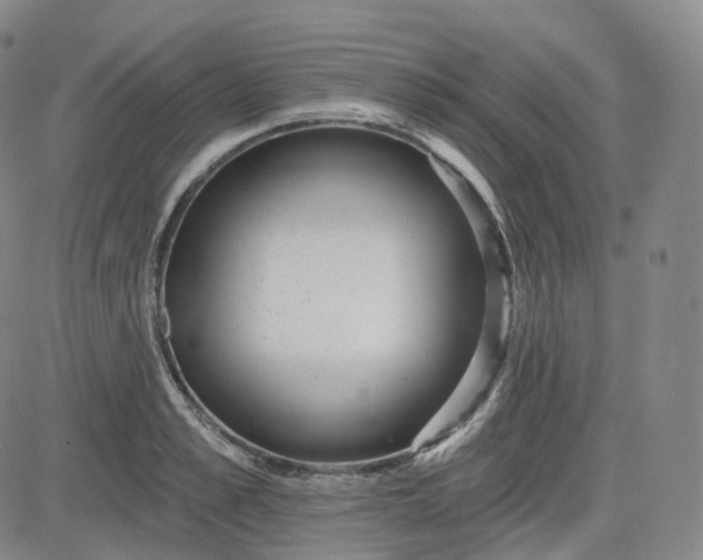 X0000083610989200702260923